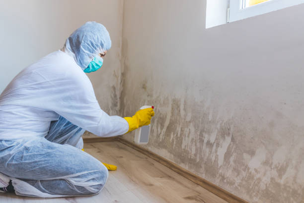 Commercial Mold Remediation assessment for commercial property in Coburn