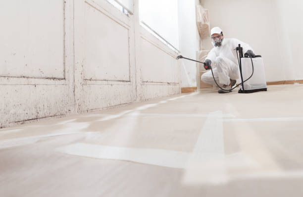 Black mold remediation team in Coburn